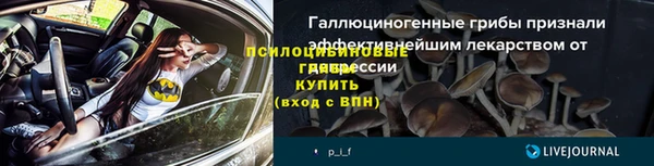 прущие грибы Алексин