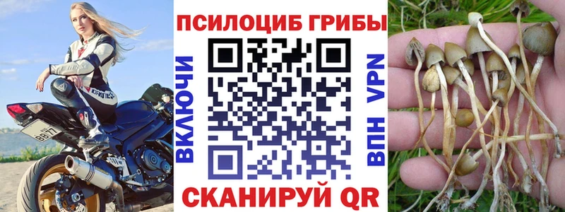 Галлюциногенные грибы прущие грибы  mega ссылка  Междуреченск  как найти  
